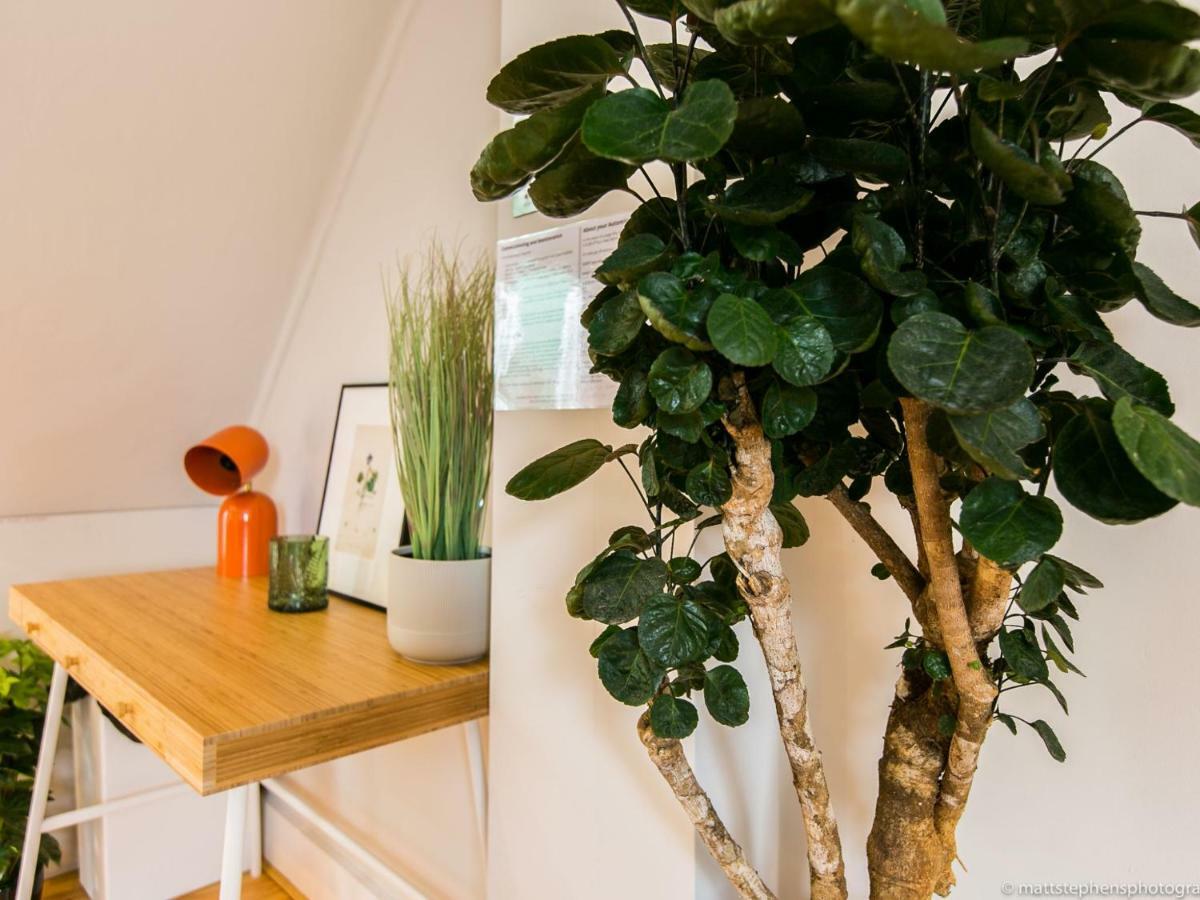 Exquisite 3Bdr Botanical Oasis In Central Brighton Luaran gambar