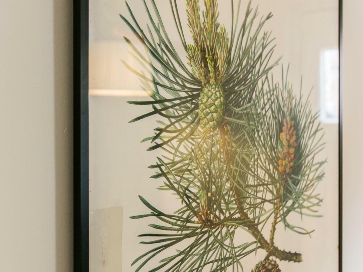 Exquisite 3Bdr Botanical Oasis In Central Brighton Luaran gambar